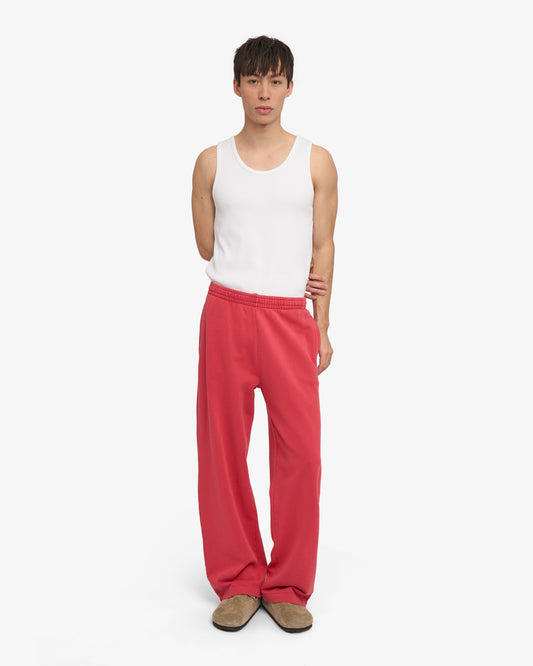 Men's Organic Cotton Straight Leg Sweatpants in Faded Red – view 2