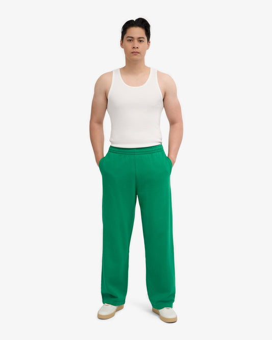 Men's Organic Cotton Straight Leg Sweatpants in Kelly Green – view 2