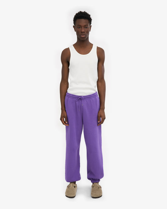 Men's Organic Cotton Relaxed Sweatpants in Ultra Violet – view 2