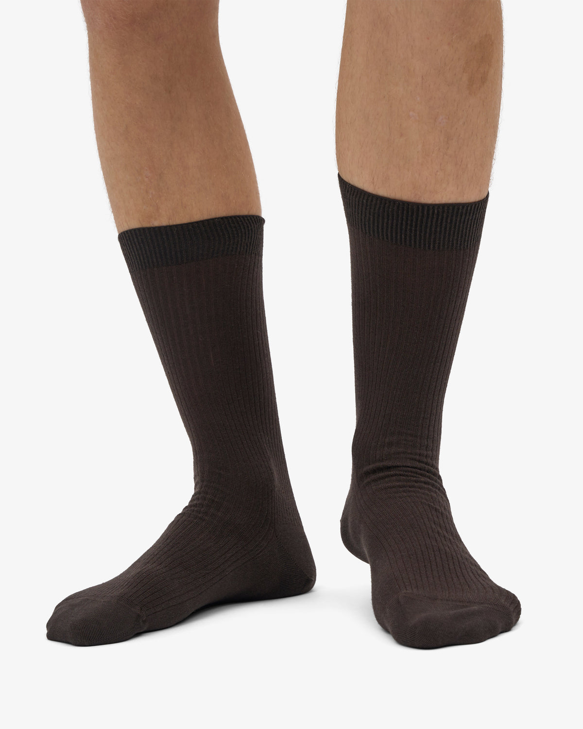 Men's Organic Cotton Crew Socks 3-Pack – Ribbed Tennis-Style Knit, Cushioned, Reinforced Heel and Toe | Coffee Brown