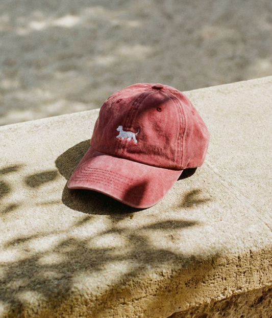 Dog Men's Embroidered Washed Cotton Baseball Cap – view 2