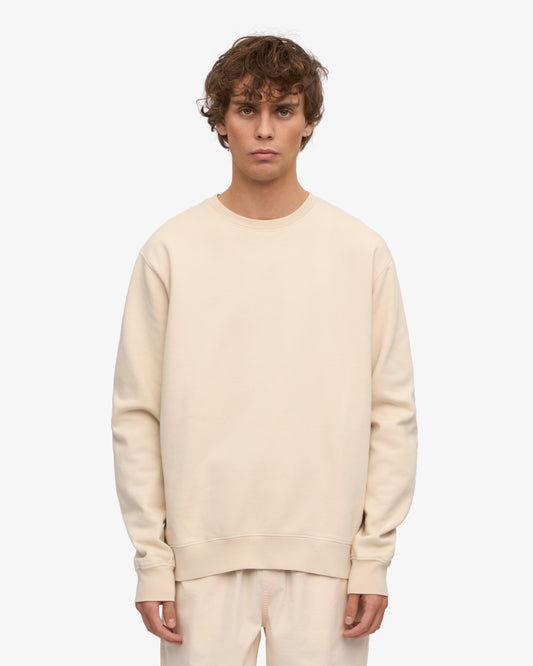 Men's Organic Cotton Crew Neck Sweatshirt – Garment Dyed, Classic Regular Fit Everyday Layer | Ivory White