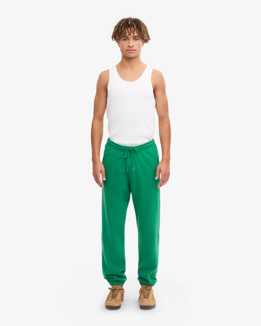 Men's Organic Cotton Sweatpants in Kelly Green – view 2