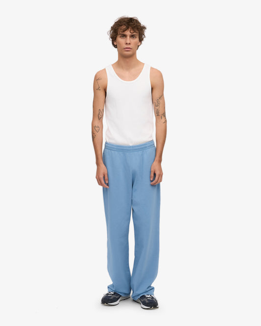 Men's Organic Cotton Straight Leg Sweatpants in Seaside Blue – view 2