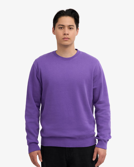 Men's Organic Cotton Crew Neck Sweatshirt – Garment-Dyed Jumper, Classic Regular Fit | Ultra Violet