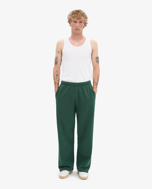 Men's Organic Cotton Straight Leg Sweatpants in Emerald Green – view 2