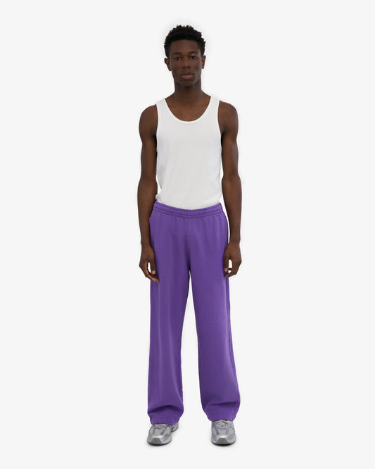 Men's Organic Cotton Straight Leg Sweatpants in Ultra Violet – view 2