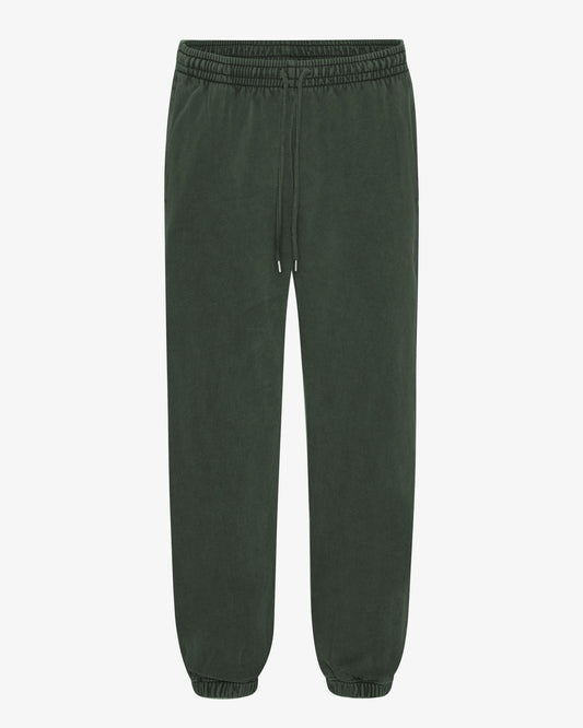 Men's Organic Cotton Relaxed Sweatpants in Midnight Forest – view 1
