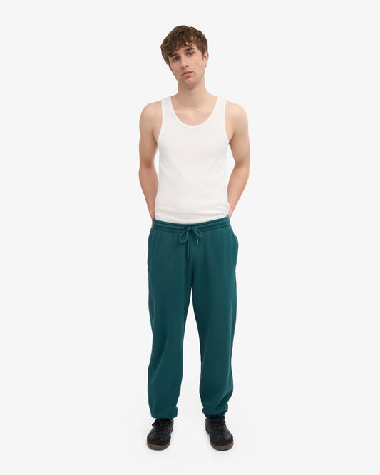 Men's Organic Cotton Relaxed Sweatpants in Ocean Green – view 2