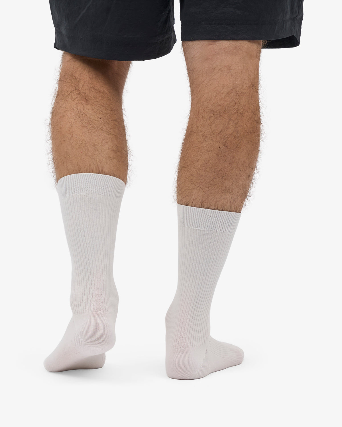 Men's Organic Cotton Classic Crew Socks 3-Pack in Optical White – view 3