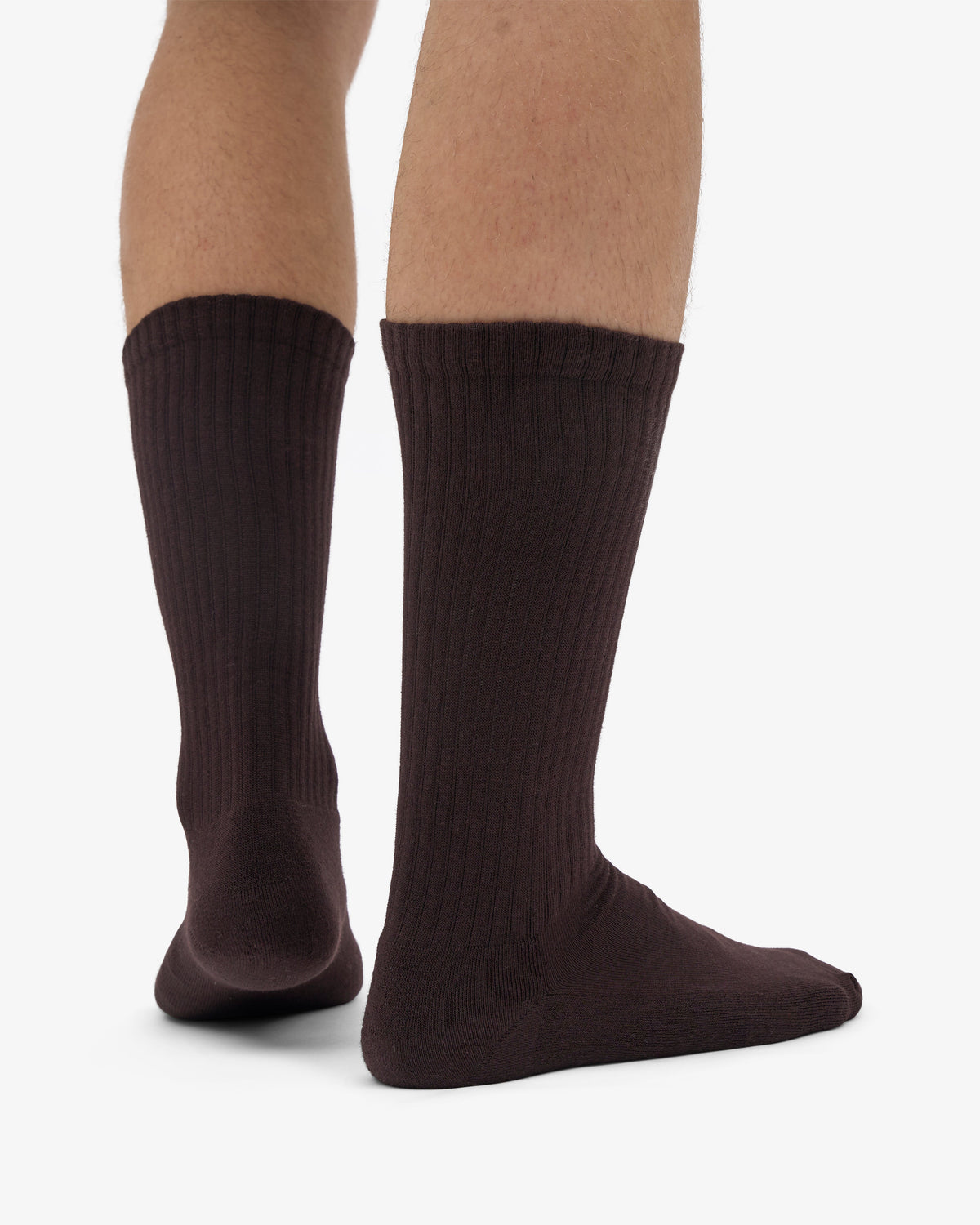 Men's Organic Cotton Crew Sports Socks 3-Pack in Coffee Brown – view 3