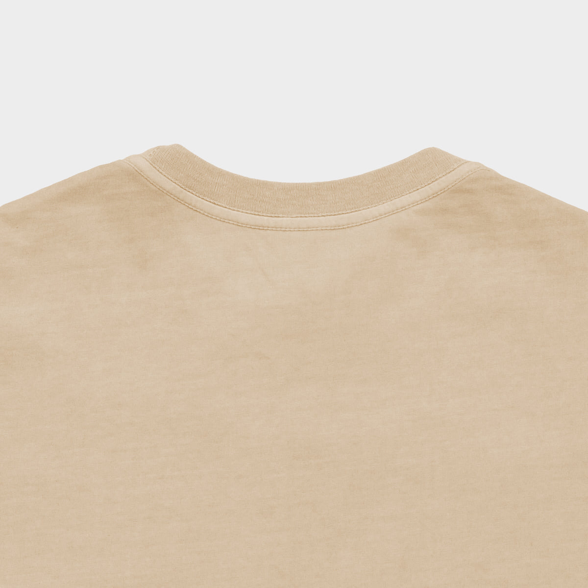 Men's Garment-Dyed Cotton T-Shirt in Frosted Mint – view 16