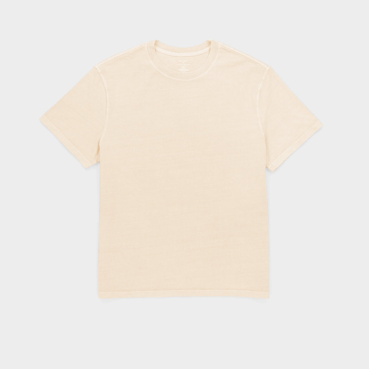Men's Garment-Dyed Cotton T-Shirt in Frosted Mint – view 27