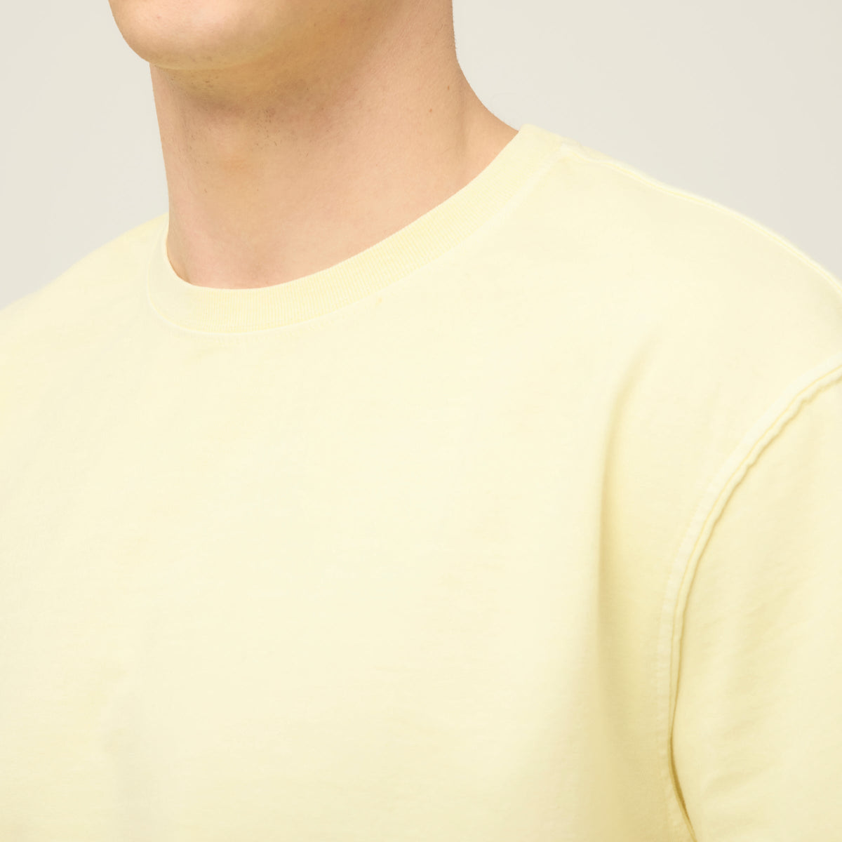 Men's Garment-Dyed Cotton T-Shirt – view 9