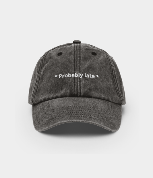 Probably Late Men's Embroidered Washed Cotton Baseball Cap – view 1