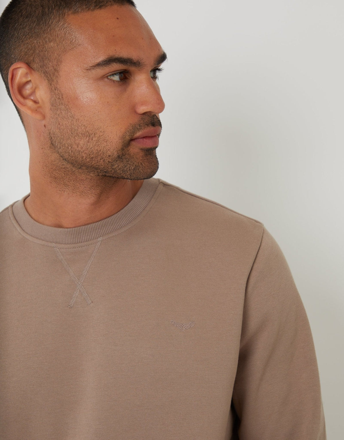 Men's Cotton Rich Crew Neck Sweatshirt in Taupe – view 4
