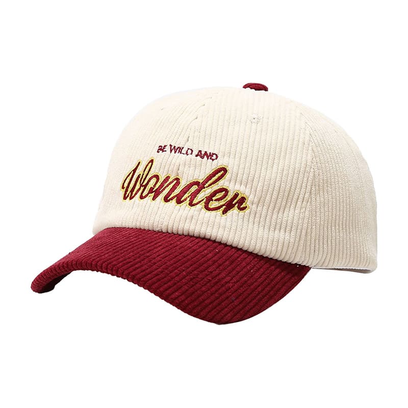 Wild & Wonder Men's Corduroy Baseball Cap – view 5