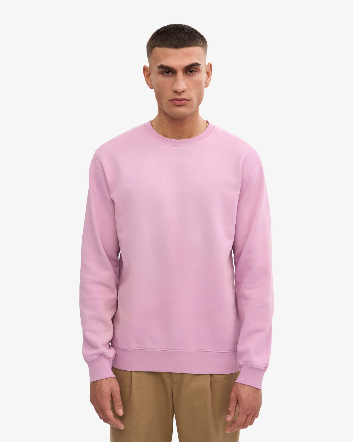 Men's Organic Cotton Crew Neck Sweatshirt in Cherry Blossom – view 2