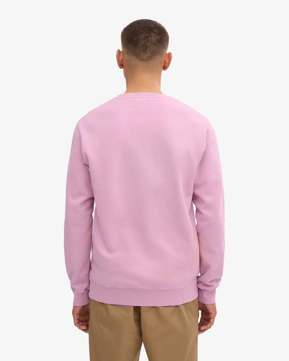 Men's Organic Cotton Crew Neck Sweatshirt in Cherry Blossom – view 4